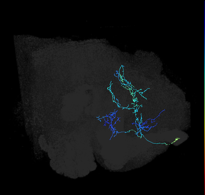 ADL28e_pct_R
