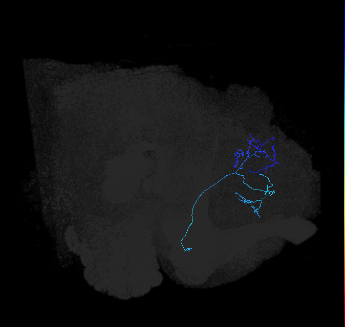 ADL19a_pct_R