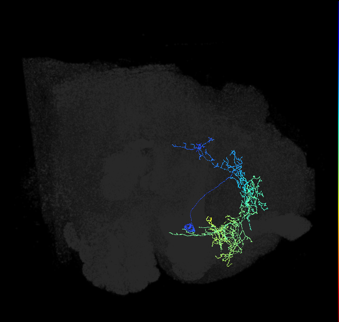 ADL23e_pct_R