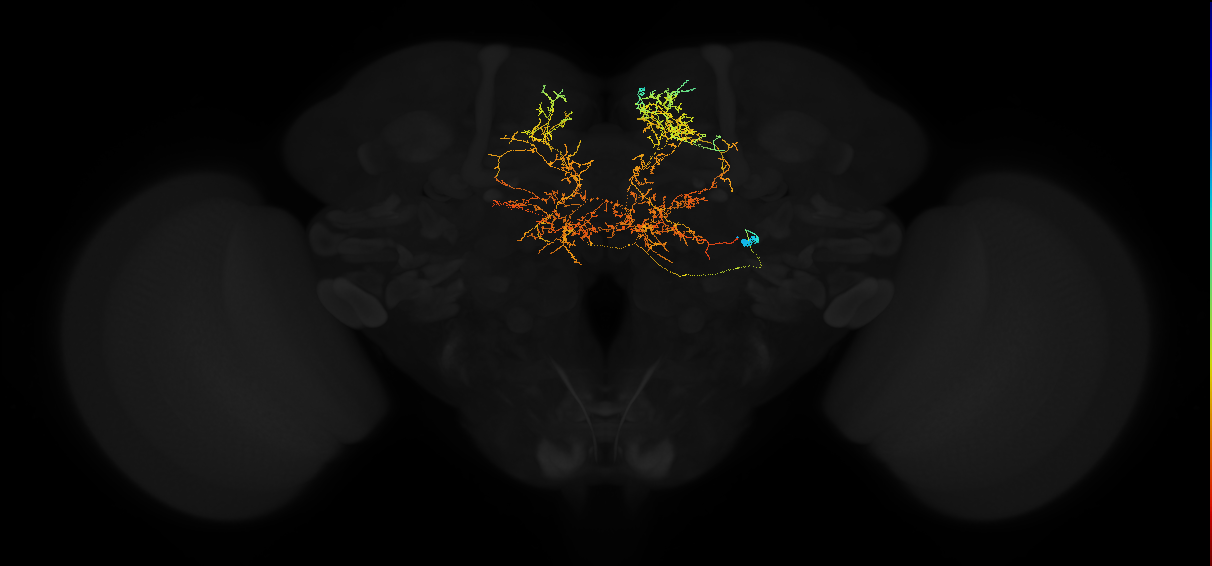 AVL05b_pct_R