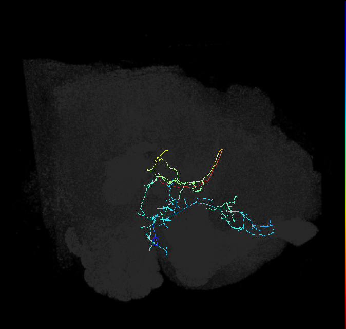 AVL03k_b_pct_R