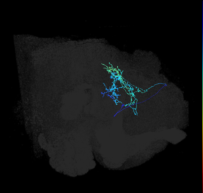ADL07d_pct_R