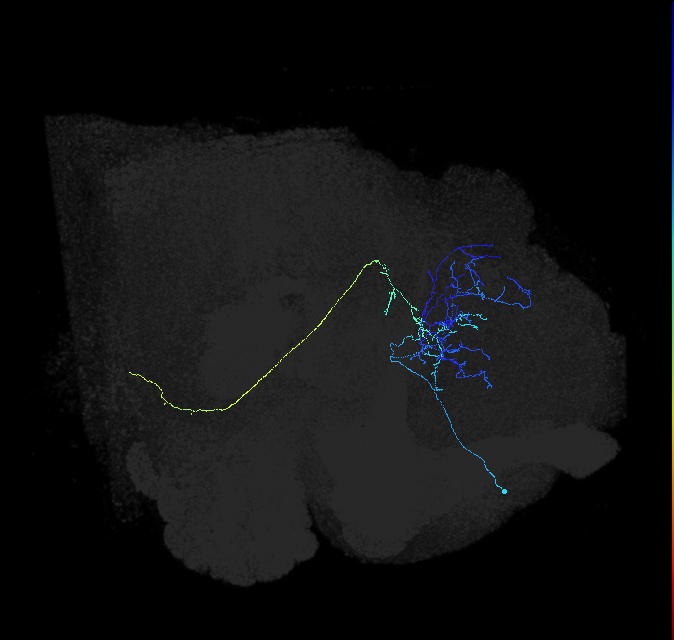 ADL12b_pct_R