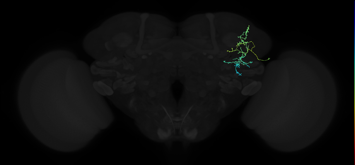ADL22f_b_pct_R