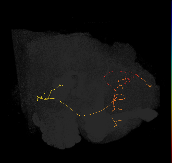 (PDM12)_L