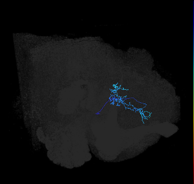 ADL04w_pct_R