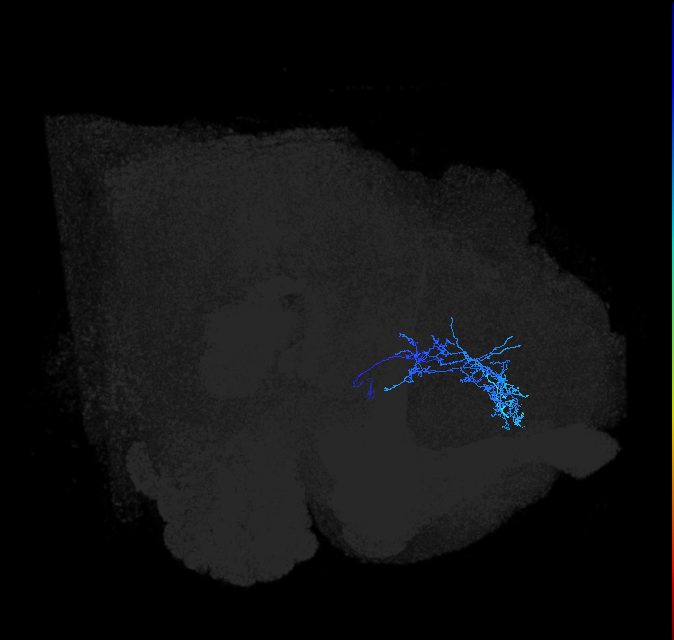 ADL22i_pct_R