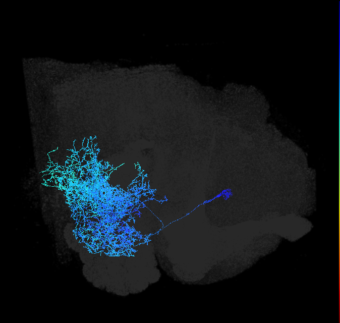 ADL26a_pct_R