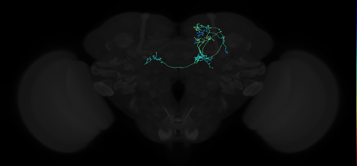 ADL06lh_pct(aSP14a)_R