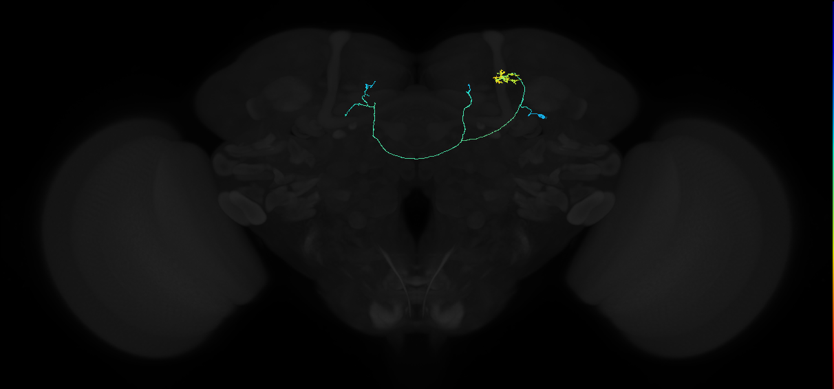 ADL06b_b_pct_R