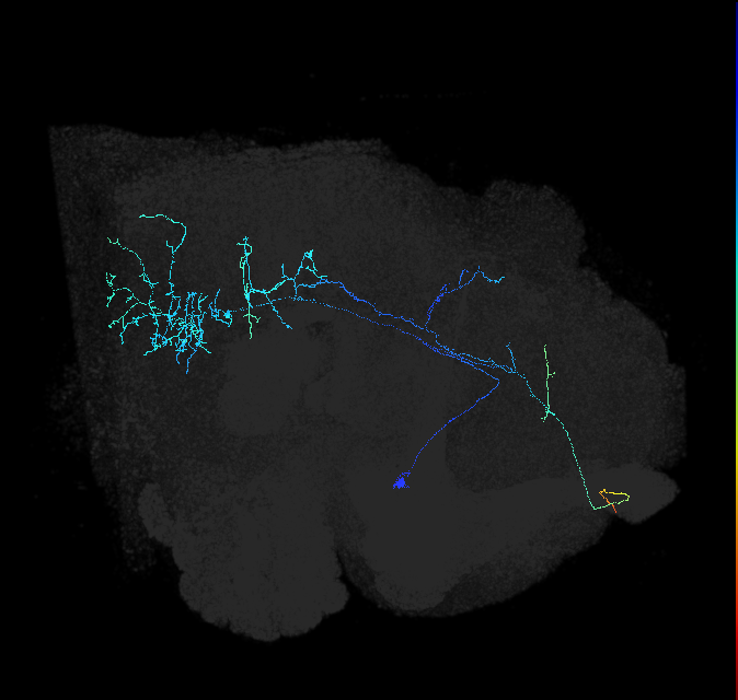 ADL23d_pct_R