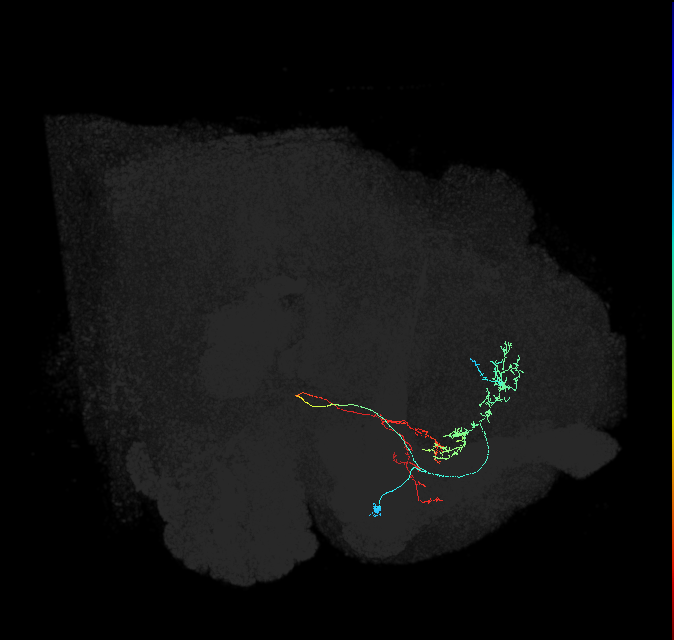 ADL06b_b_pct_R