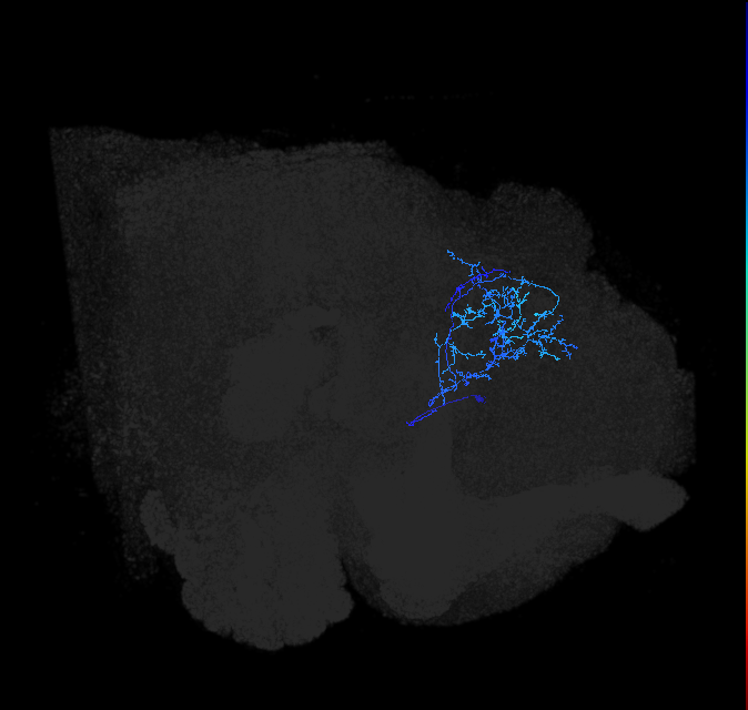ADL01y_pct_R