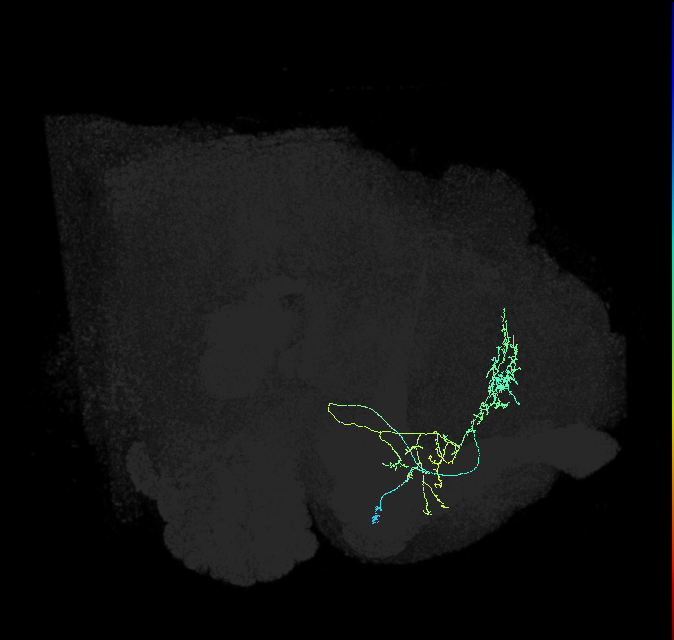 ADL06b_b_pct_R