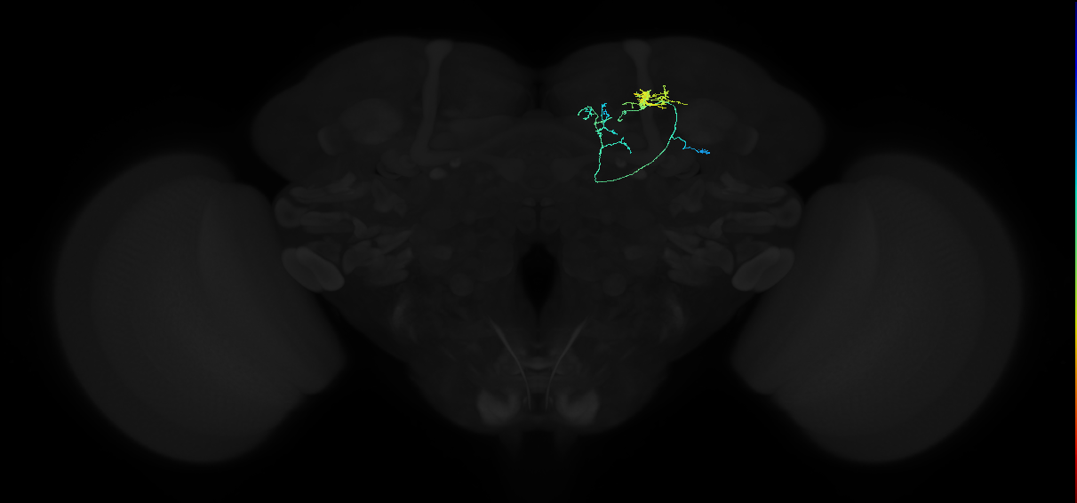 ADL06b_b_pct_R
