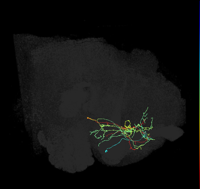 ADL06q_pct_R
