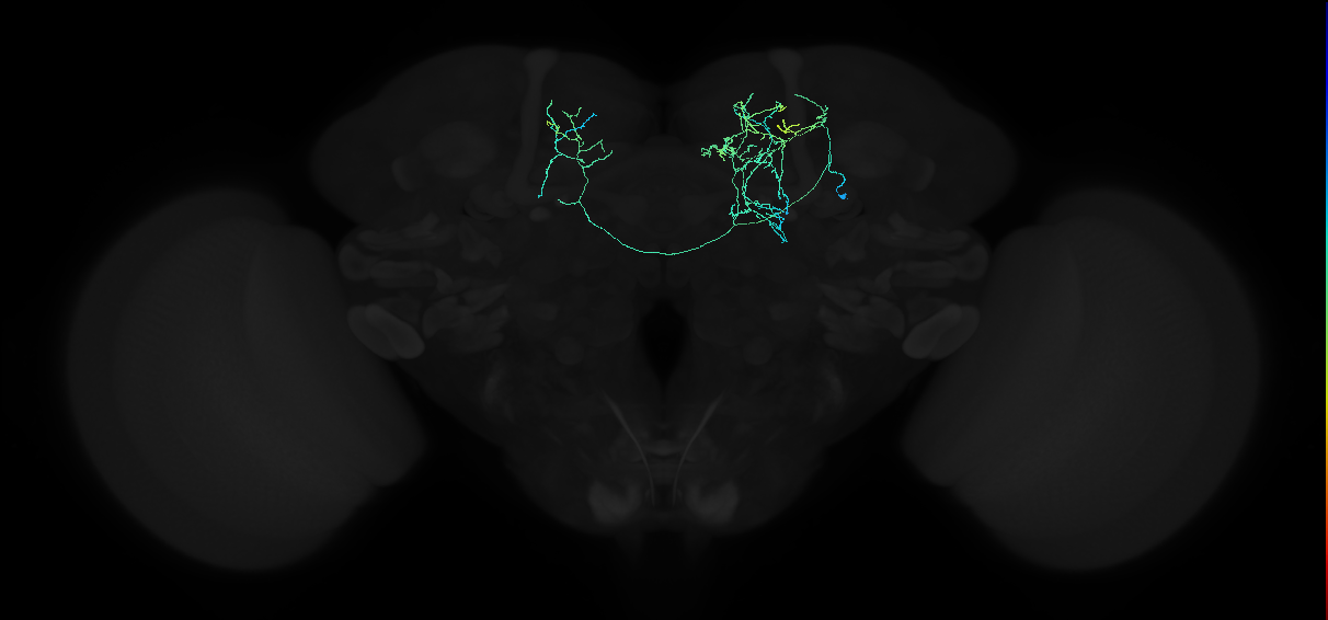 ADL06q_pct_R