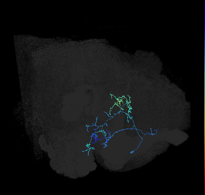 ADL12oa_pct_R