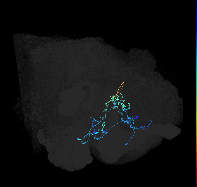 ADL12k_pct_R