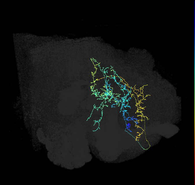 ADL25j_pct_R