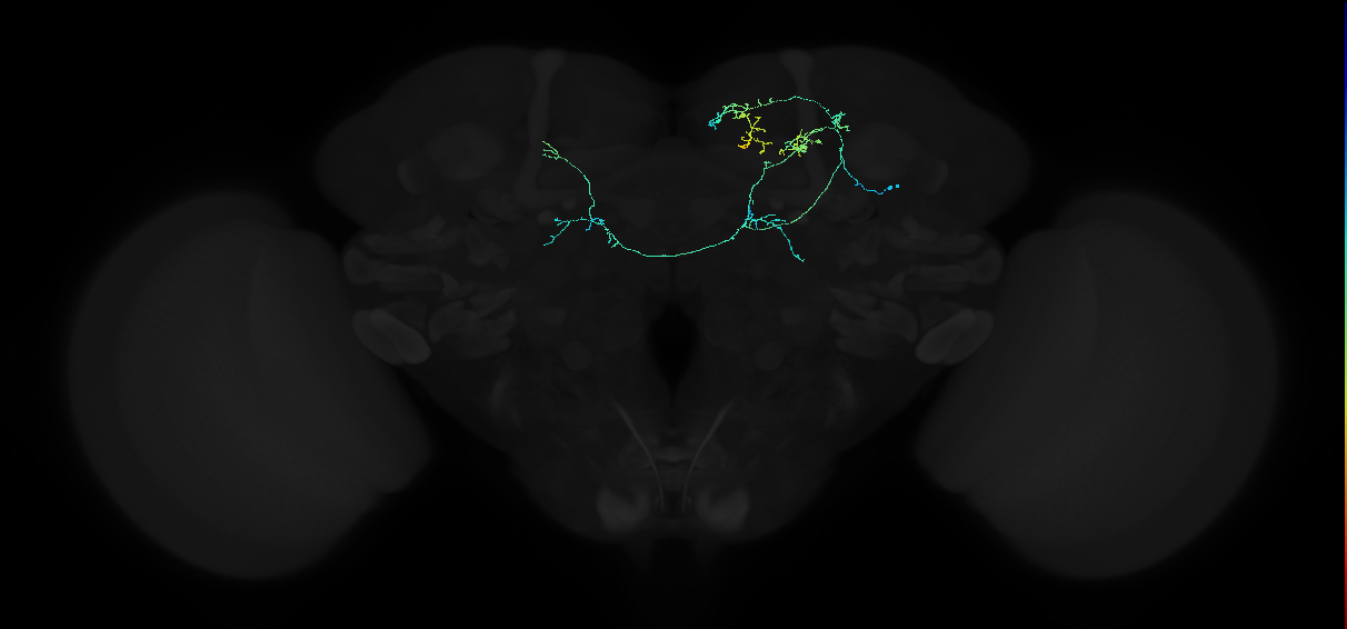 ADL06h_pct(aSP14a)_R