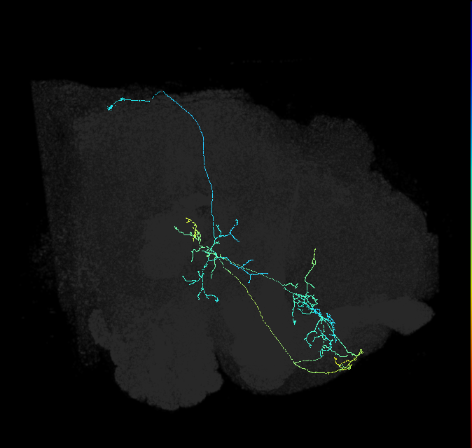 aIPg1_R