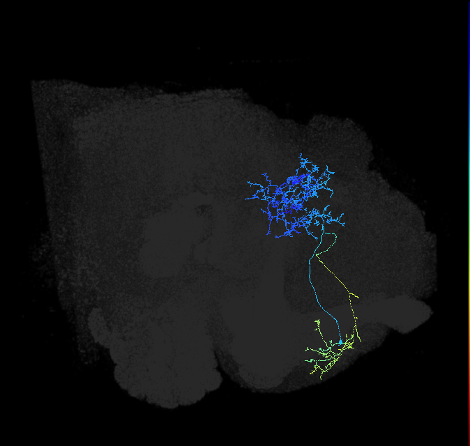 ADL27e_pct_R