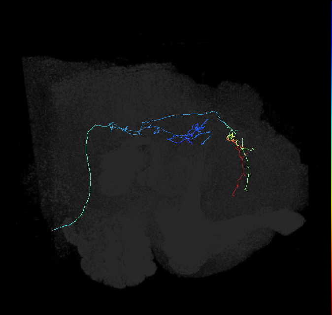 AVL01m_pct_R
