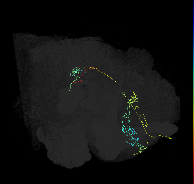 ADM01y_pct(aSP1b)_R