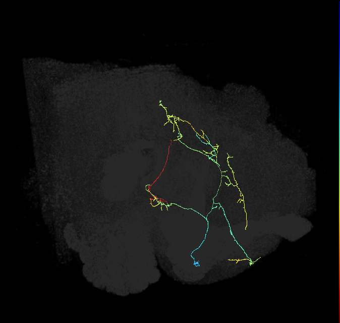 ADL06p_pct_R