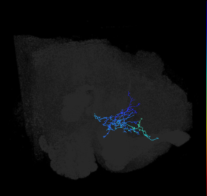 ADL01og_pct(aSP6a)_R