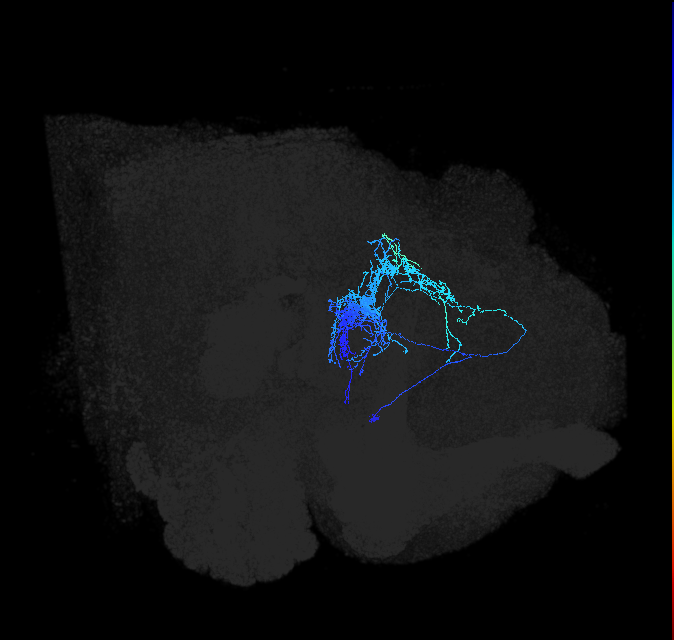 ADL09e_pct_R