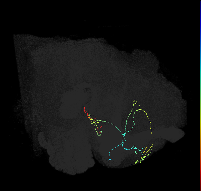 ADL06n_pct_R