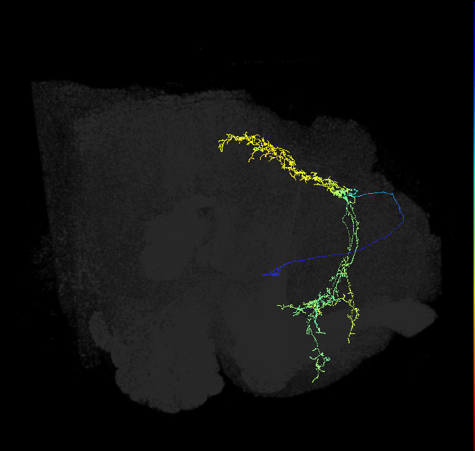 ADL29a_pct_R