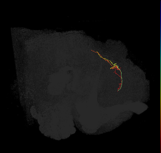 (PDL14)_L