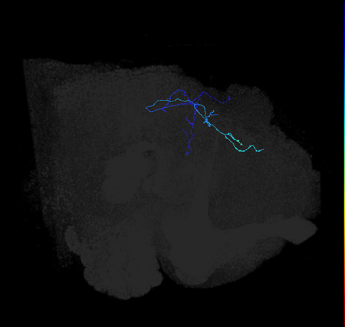 (PLBDL10)_R
