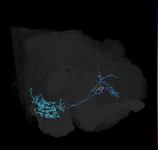 ADL03i_pct_R