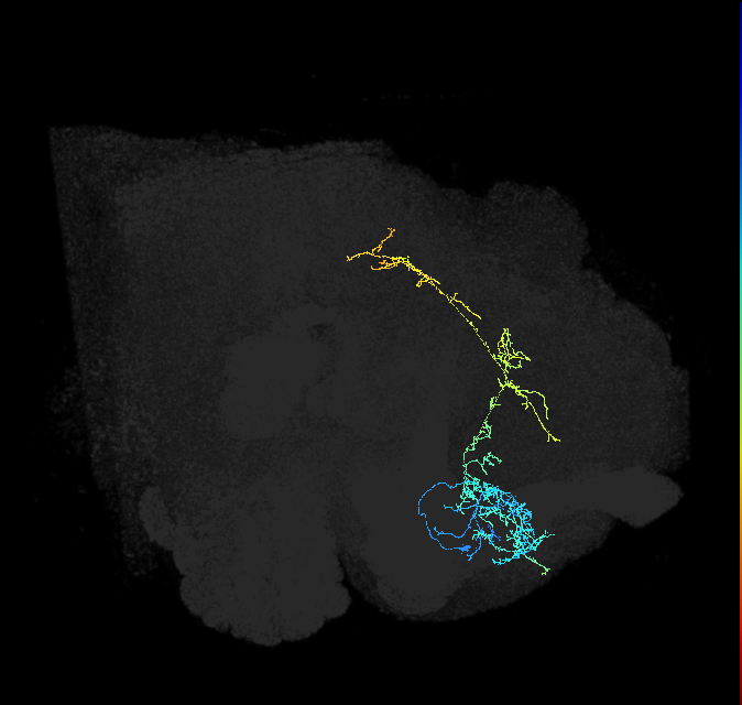 ADL19c_pct_R