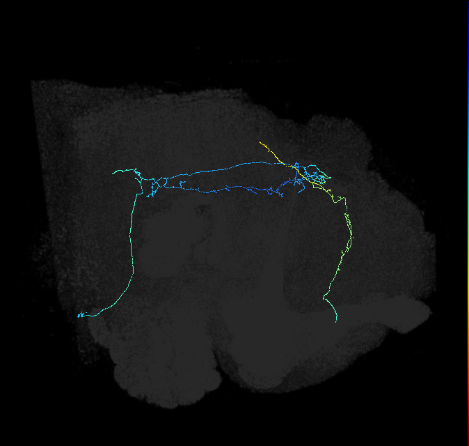 AVL01n_pct_R