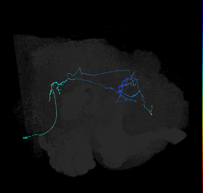 AVL01q_pct_R