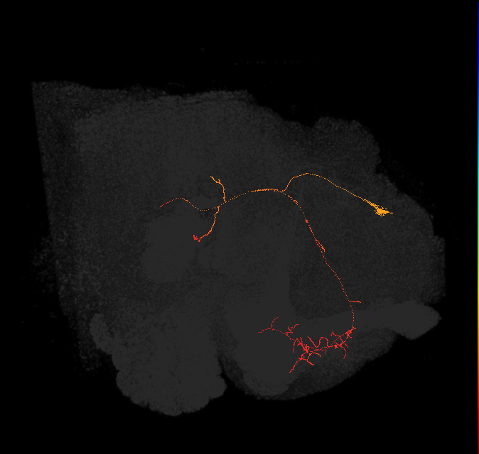 (PDM13)_L