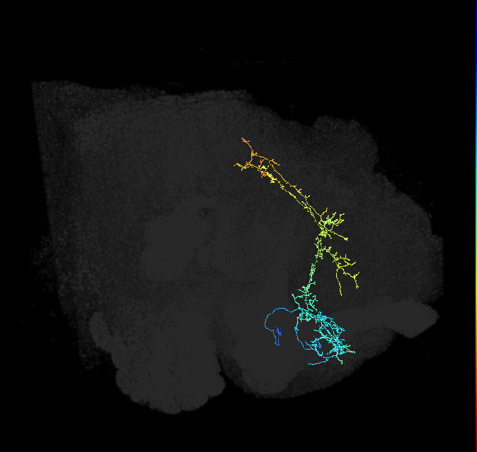 ADL19c_pct_R