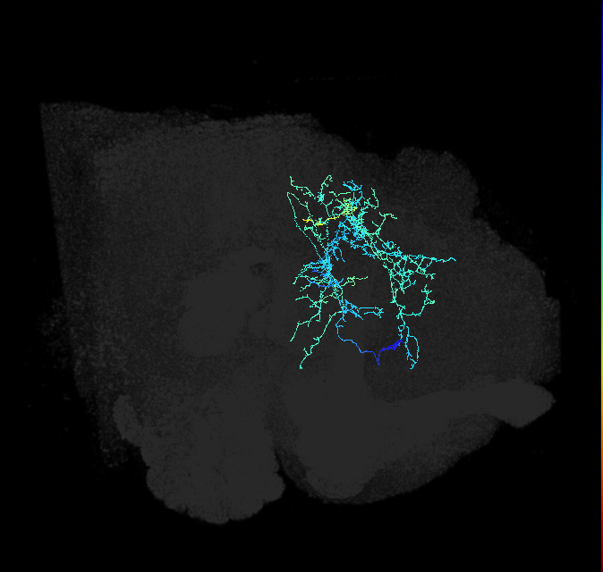 ADL03b_pct_R