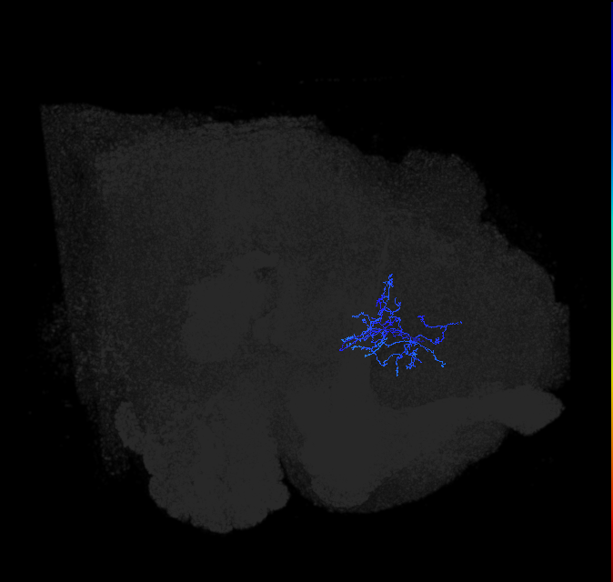 ADL01d_pct_R