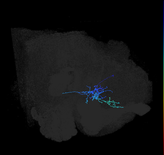 ADL01og_pct(aSP6a)_R