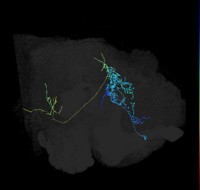ADL12of_pct_R
