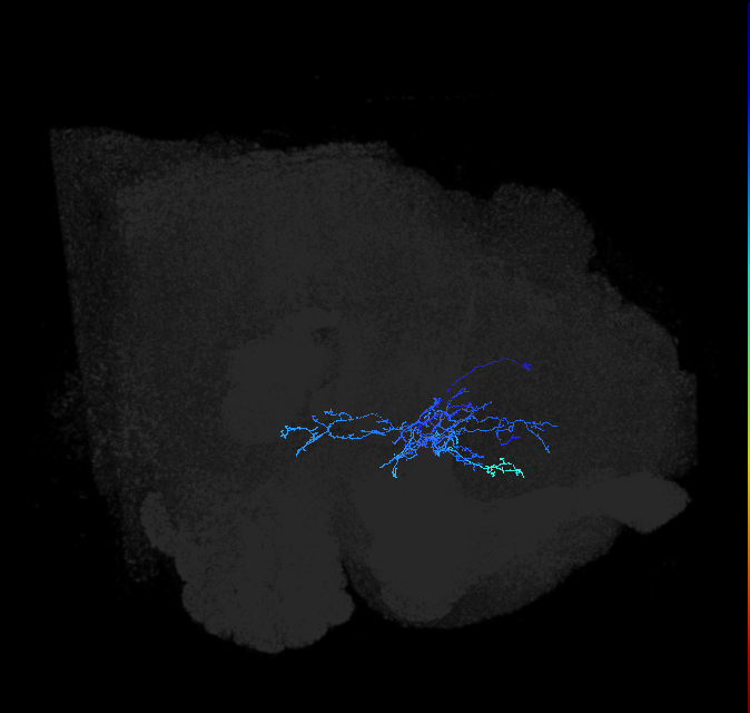 ADL01og_pct(aSP6a)_R