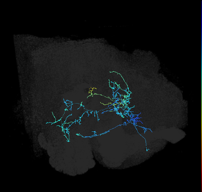 ADL12od_pct_R