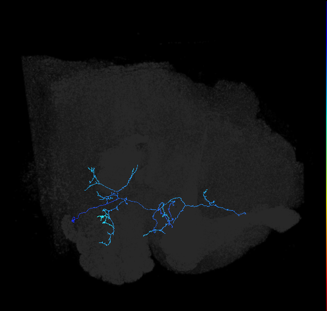 AVL02e_pct_R