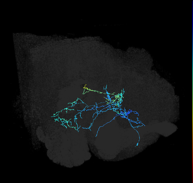 ADL12g_pct_R